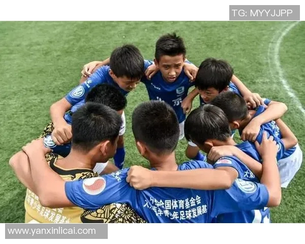 南京足球队现状揭秘：从训练到比赛的全景分析与展望